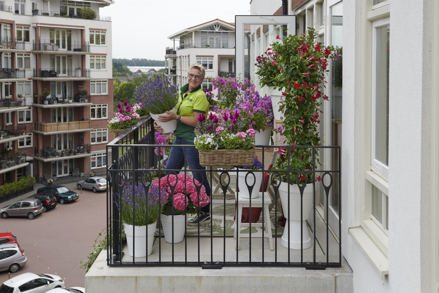 Communicatie netwerk attribuut Weekendtas Het balkon: je staat er gekleurd op! - GroenRijk