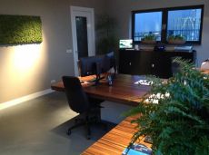 Kantoor- en interieurbeplanting GroenRijk Geldrop Kantoor- en interieurbeplanting GroenRijk Geldrop