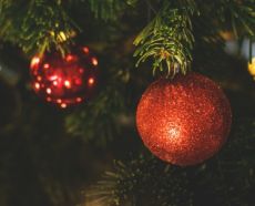 Kerstbomen GroenRijk Nunspeet & Epe Kerstbomen GroenRijk Nunspeet & Epe