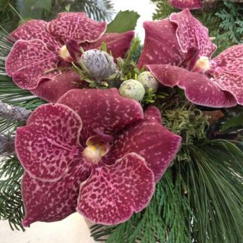 Kerstworkshops bij GroenRijk Geldrop