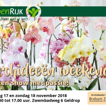 Orchideeënweekend