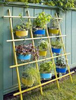 Verticale tuin Verticale tuin