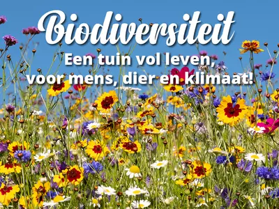 Biodiversiteit