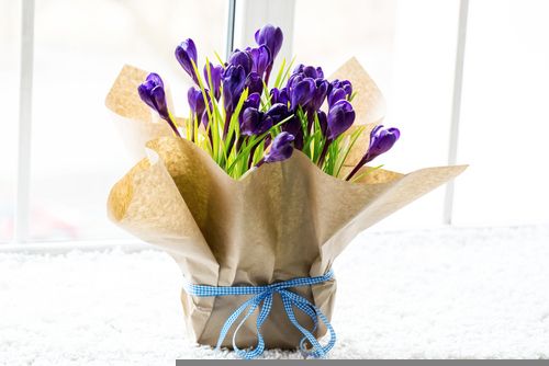 Cadeautips voor hem en haar in het tuincentrum