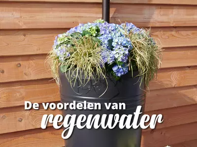 Een watervriendelijke tuin!