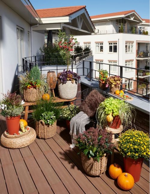 Het balkon: je er gekleurd op! - GroenRijk