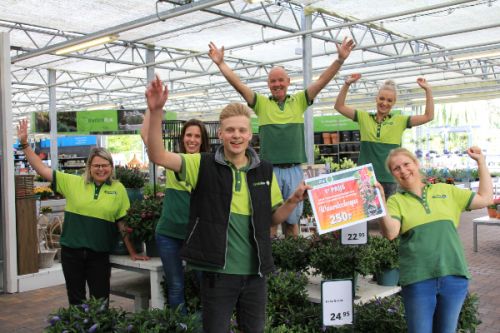 Kalanchoë stralend middelpunt bij GroenRijk