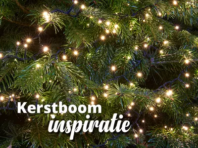 Kerstboom inspiratie