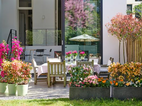 Kleurbrengers: tuinplanten van de maand april