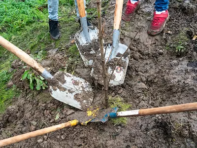 Niet alleen planten, maar ook oogsten in het najaar