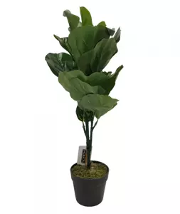 Kunstplant Ficus Lyrata 75cm