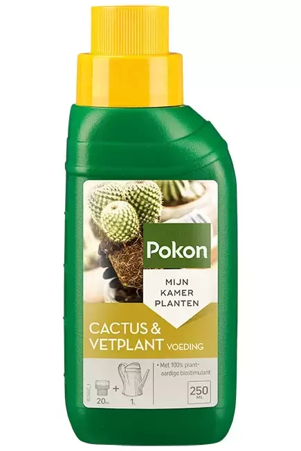 POKON Cactus&vetplant 250ml